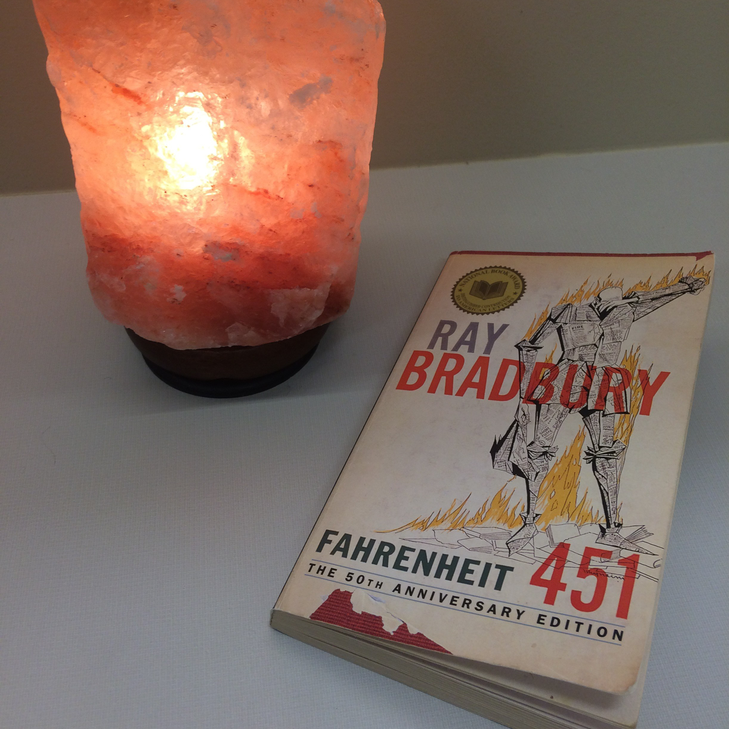 Fahrenheit 451, by Ray Bradbury